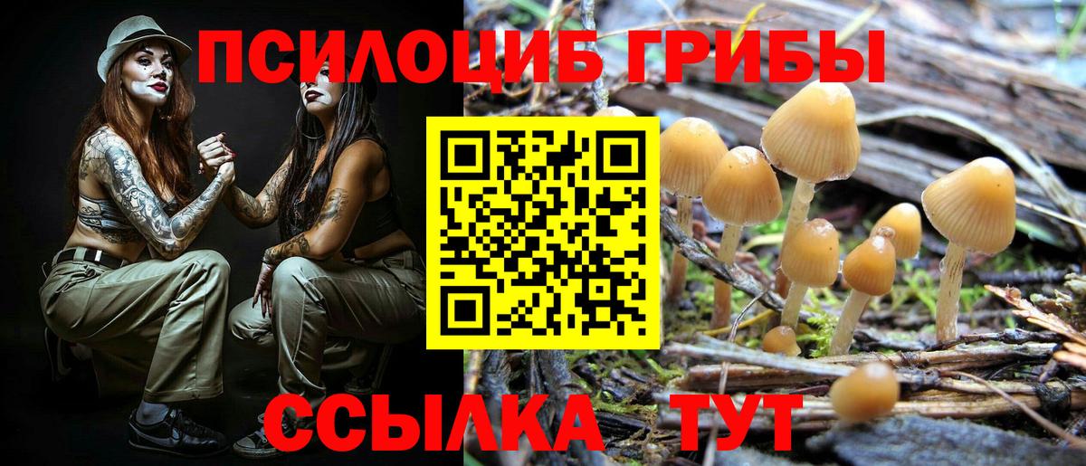 Псилоцибиновые грибы мухоморы Камышлов